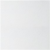 ARMSTRONG kazetový minerální podhled PLAIN hrana Board tl. 15mm, rozměr kazety 600/600mm ARMSTRONG kazetový minerální podhled PLAIN hrana Board tl. 15mm, rozměr kazety 600/600mm